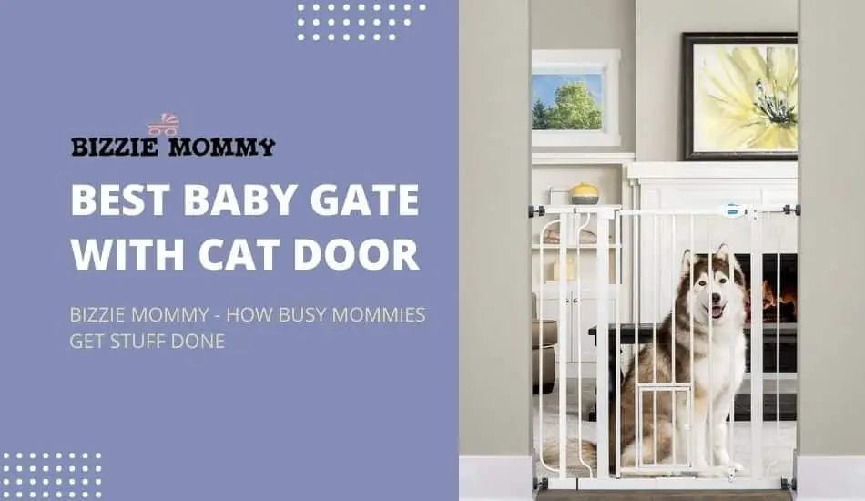 Best Baby Gate With Cat Door