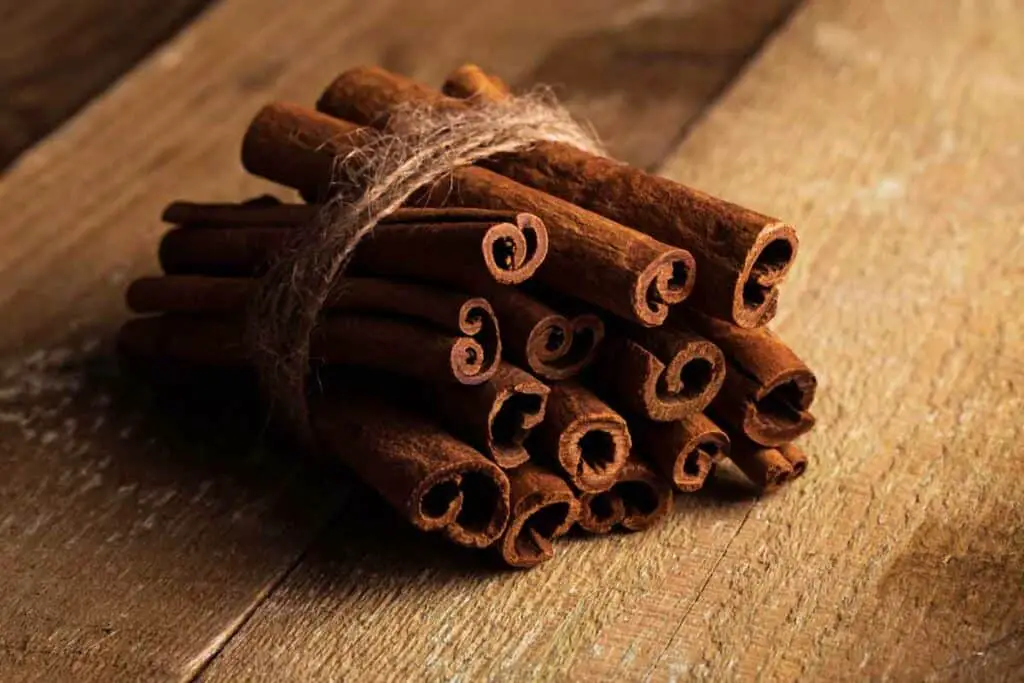 What Does Cinnamon Do in Early Pregnancy