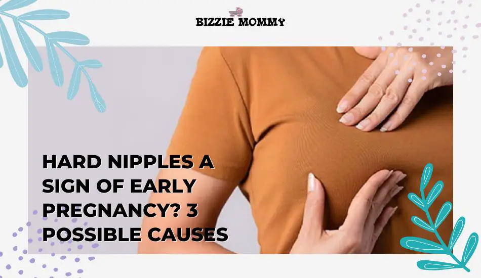 hard nipples a sign of early pregnancy