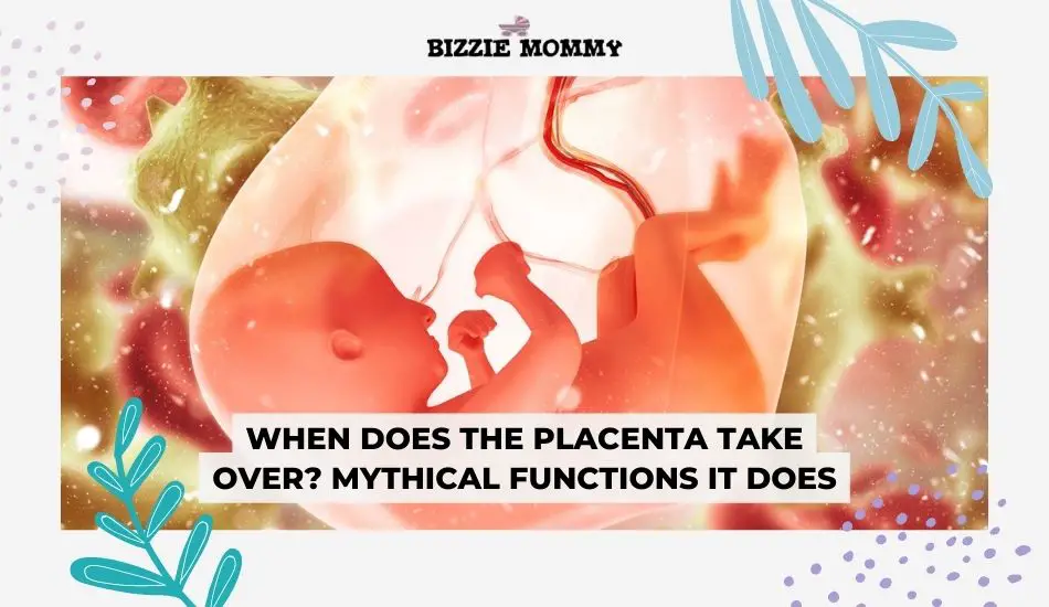 when does the placenta take over