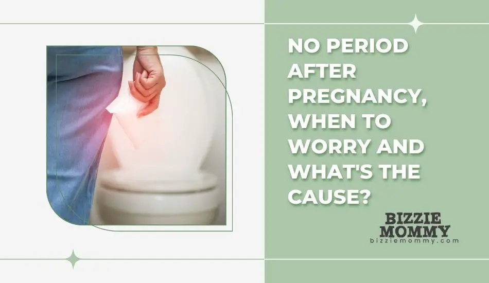 no period after pregnancy when to worry