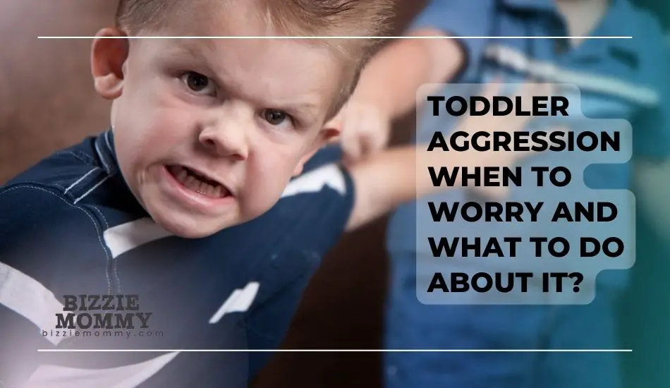 toddler aggression when to worry