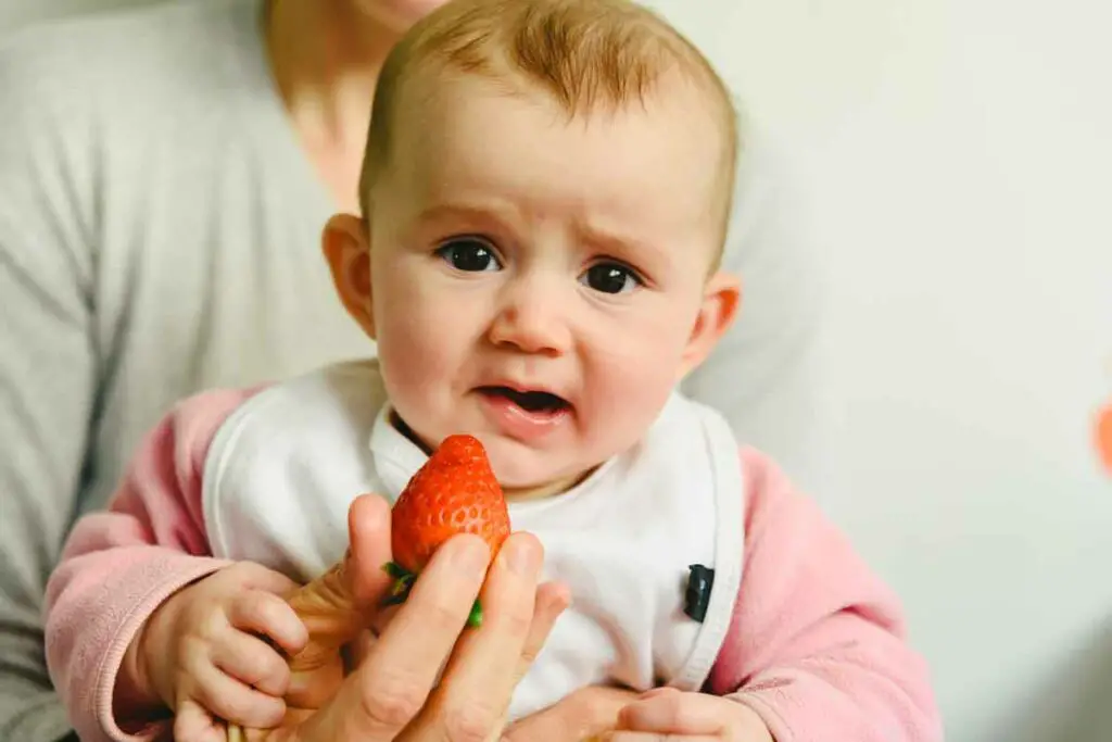 Strawberry Baby Food Ideas